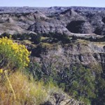 Theodore_Roosevelt_National_Park